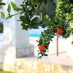Masseria Borgo Sentinella Lägenhetshotell Torre dell'Orso
