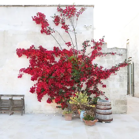 Masseria Borgo Sentinella 4* Torre dell'Orso