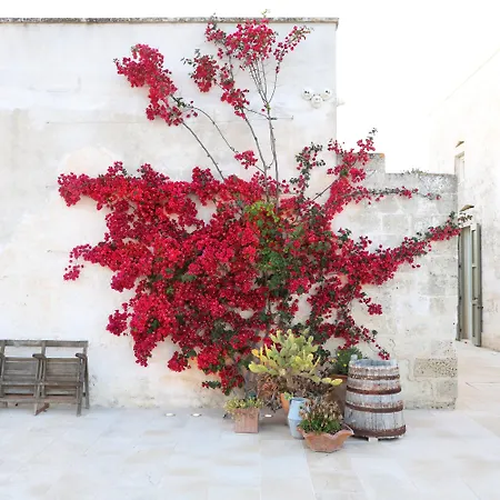 Masseria Borgo Sentinella 2* Торре дель'Орсо